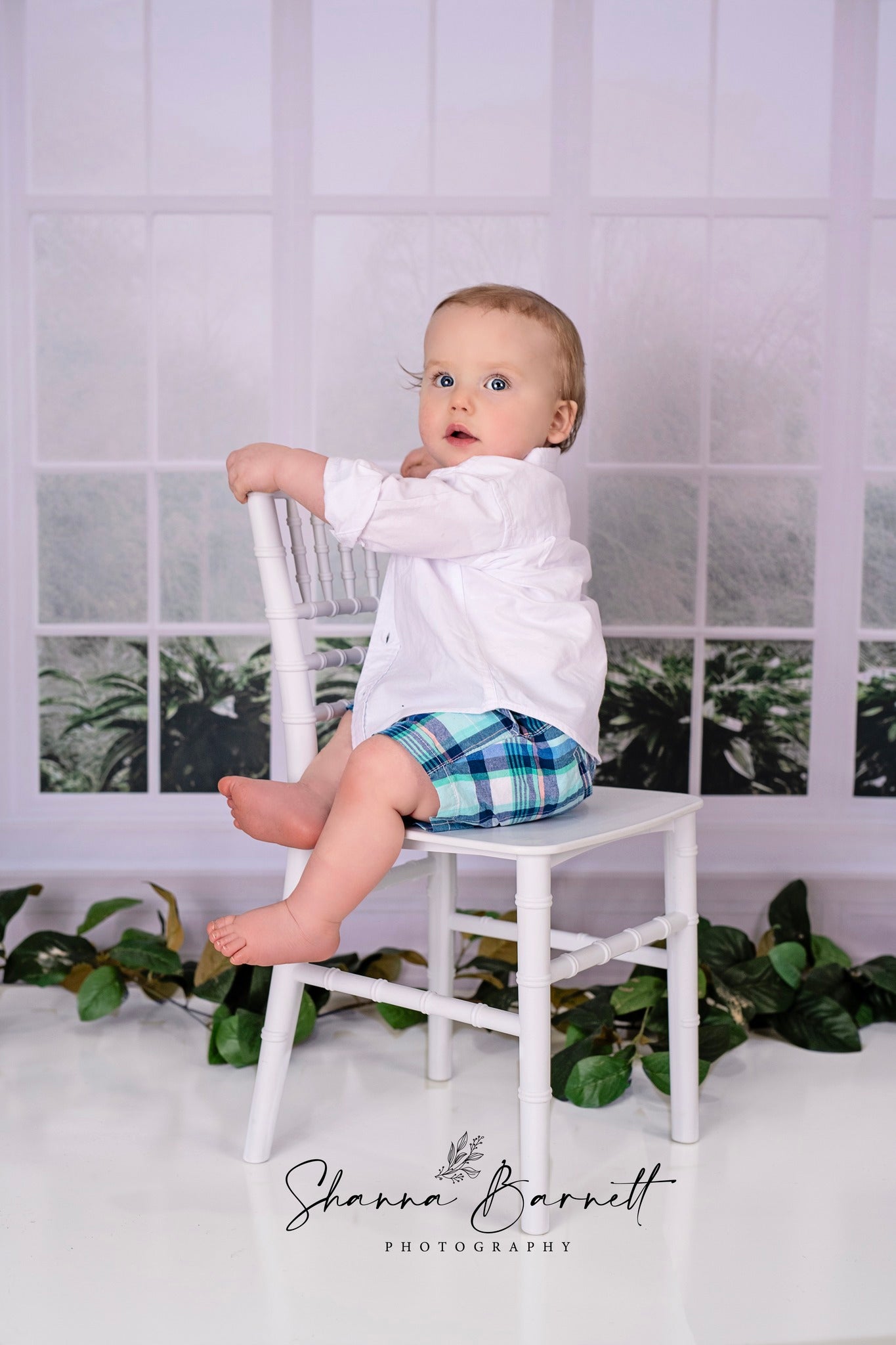 Toile de fond pour photographie des fenêtres de la Maison Blanche d'Avezano conçue par Polly Ro Design