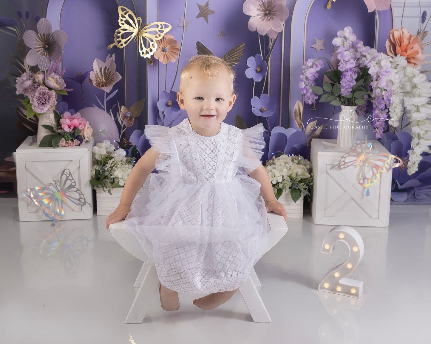 Ballons Avezano Fête d'anniversaire Arche violette Photographie Fond