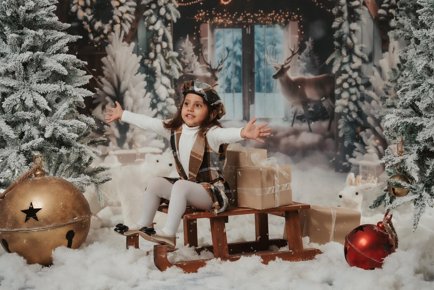 Entrepôt de Noël d'Avezano et élan en toile de fond pour photographie hivernale