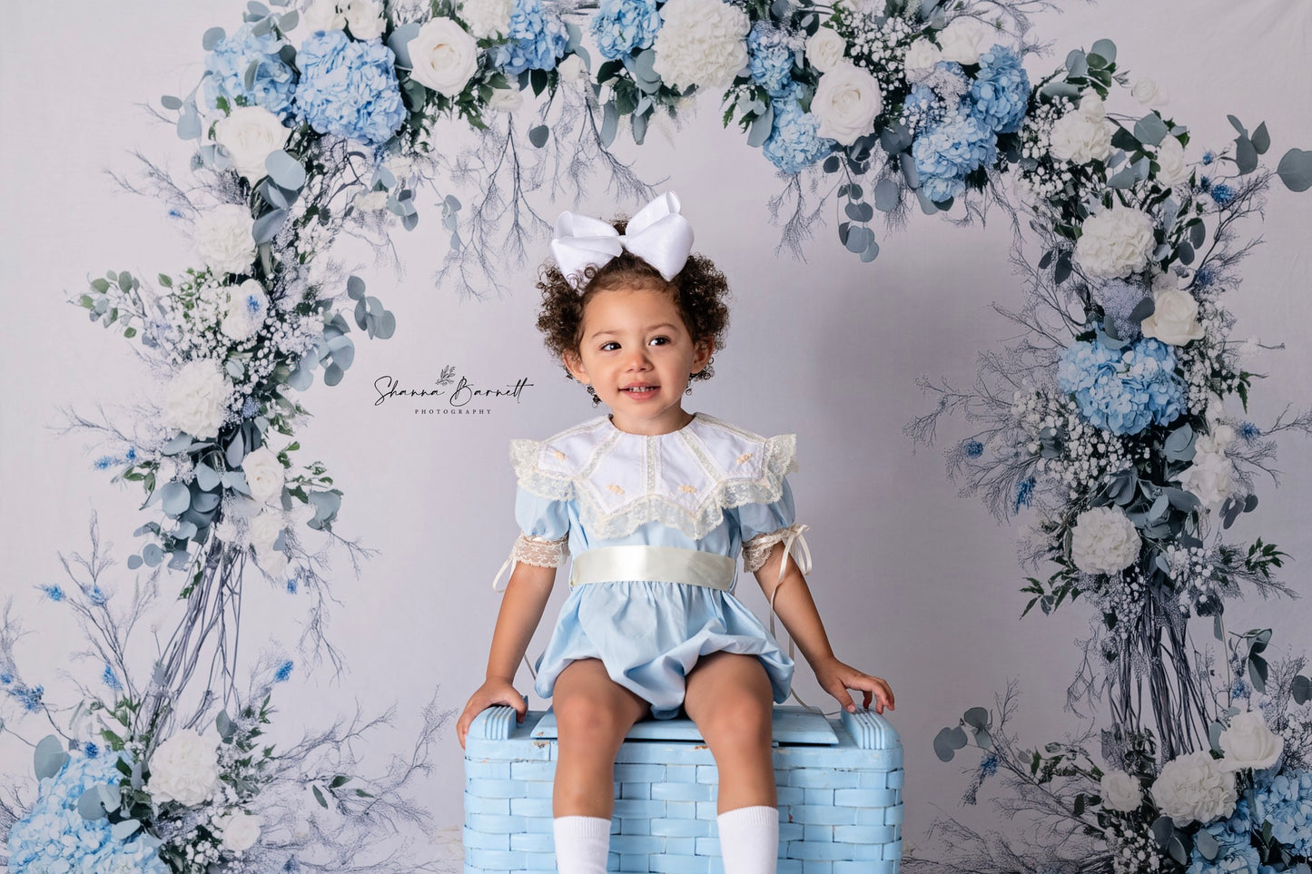 Avezano Blue and White Flowers Arch Photography Backdrop Designed By Polly Ro Design