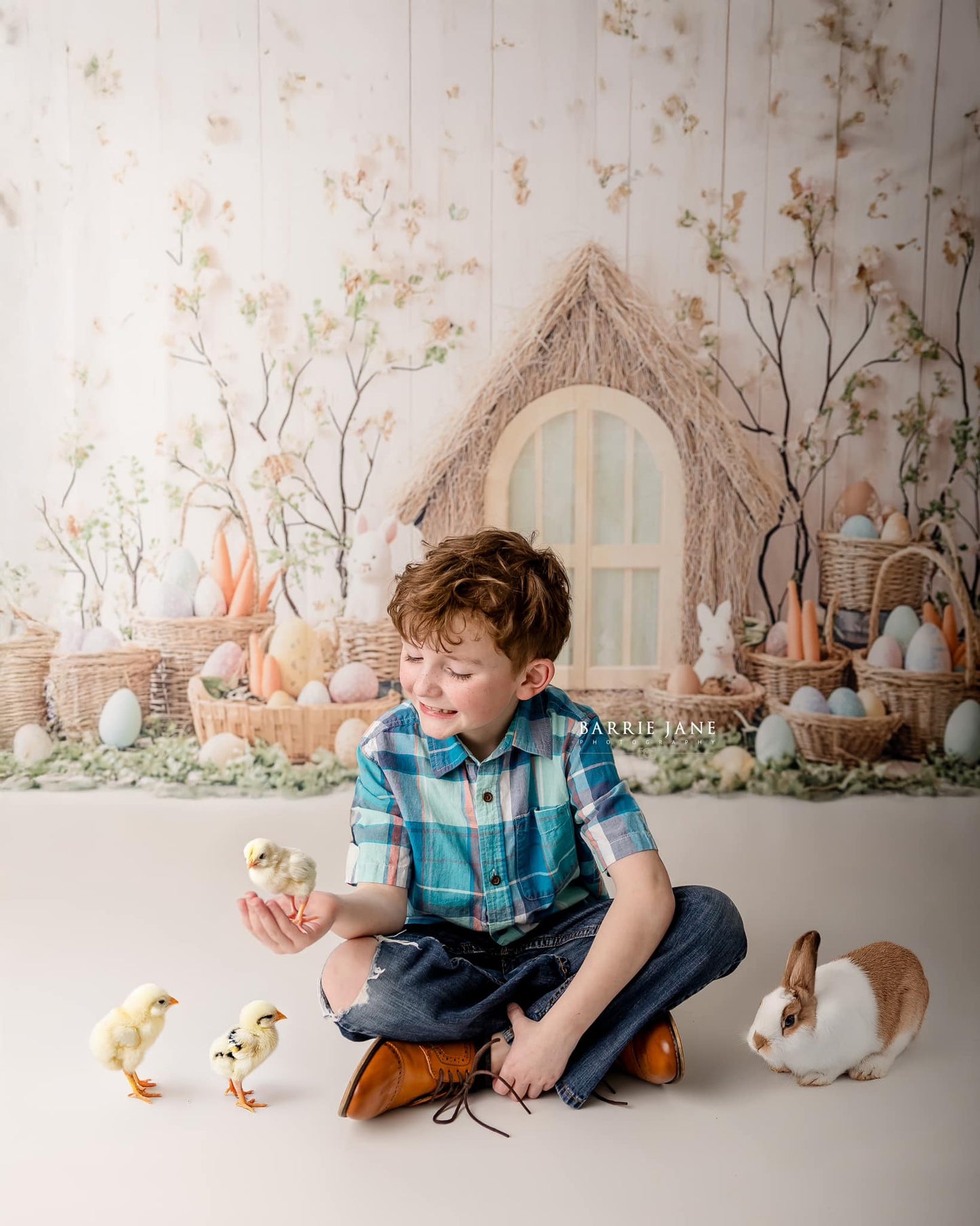 Toile de fond pour photographie de lapins de Pâques et de maisons de paille au printemps d'Avezano