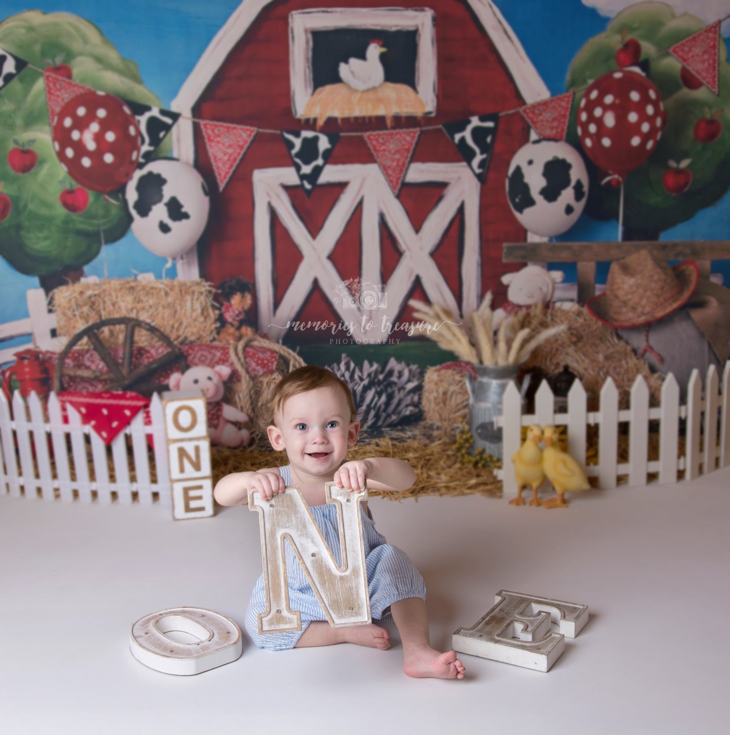 Avezano Farm Warehouse Barn Scene Backdrop For Photography