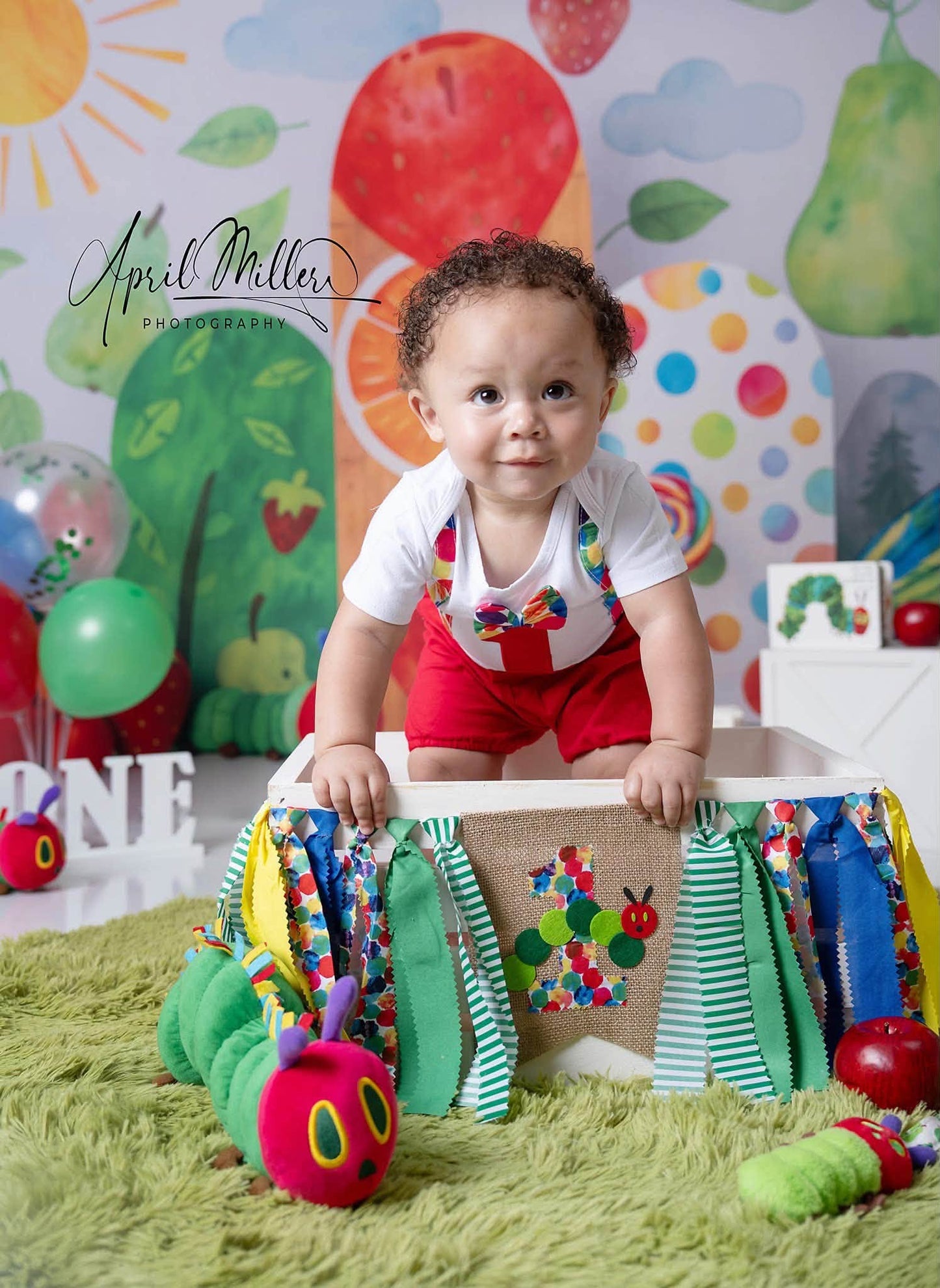 Avezano Caterpillar Fruit Theme Photography Backdrop Designed By Polly Ro Design