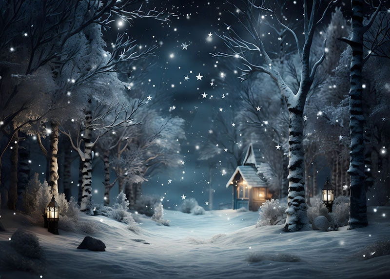 Avezano Cabin in Winter Snow Photography Backdrop