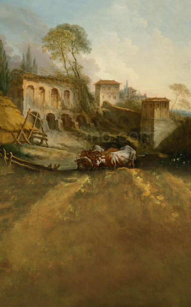 Toile de fond pour photographie de bovins Avezano dans la nature