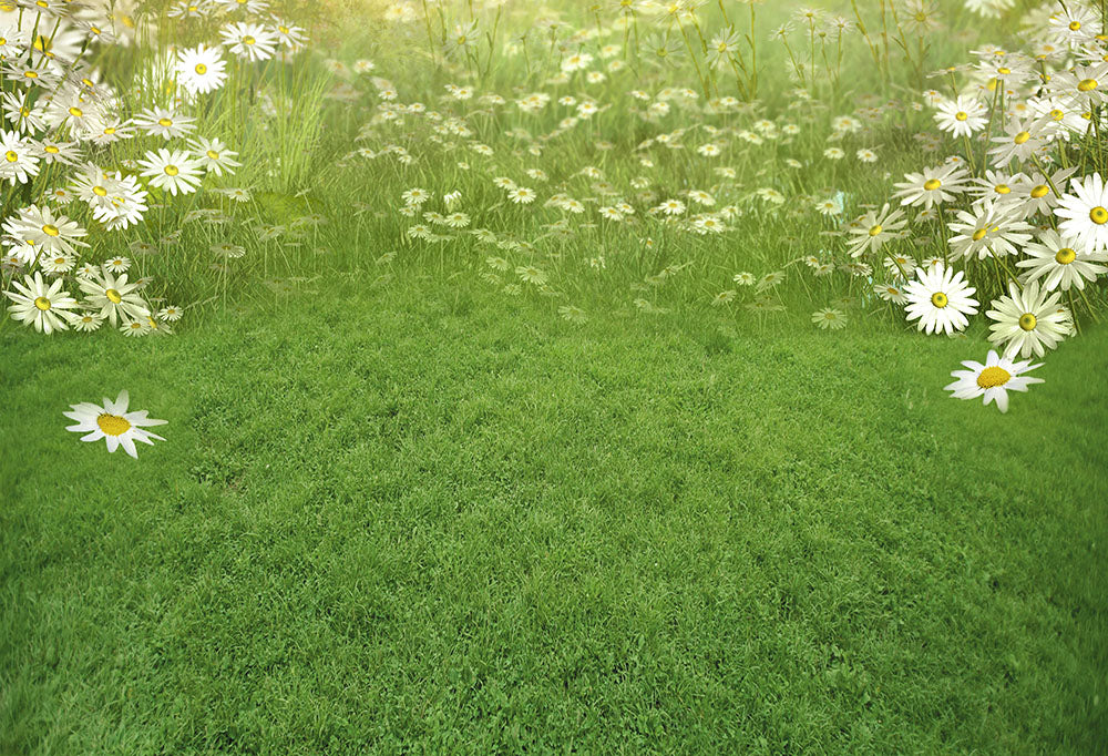 Ensemble de 2 toiles de fond de fleurs printanières et de pelouse d'Avezano