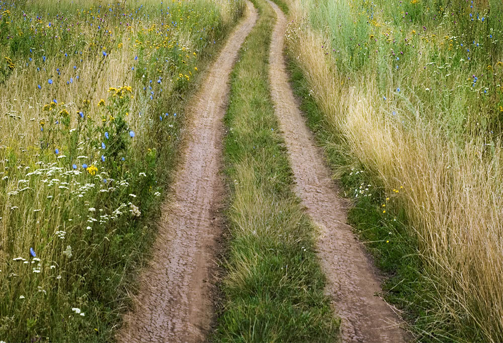 Toile de fond pour photographie de chemins de jardin printaniers d'Avezano et de vieilles voitures