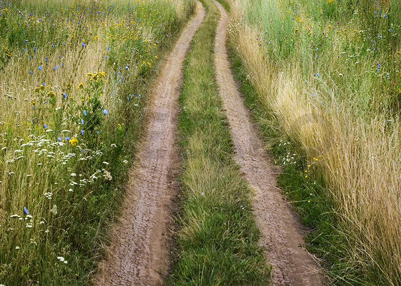 Avezano Spring The Wheel Prints the Path Grass Photography Backdrop