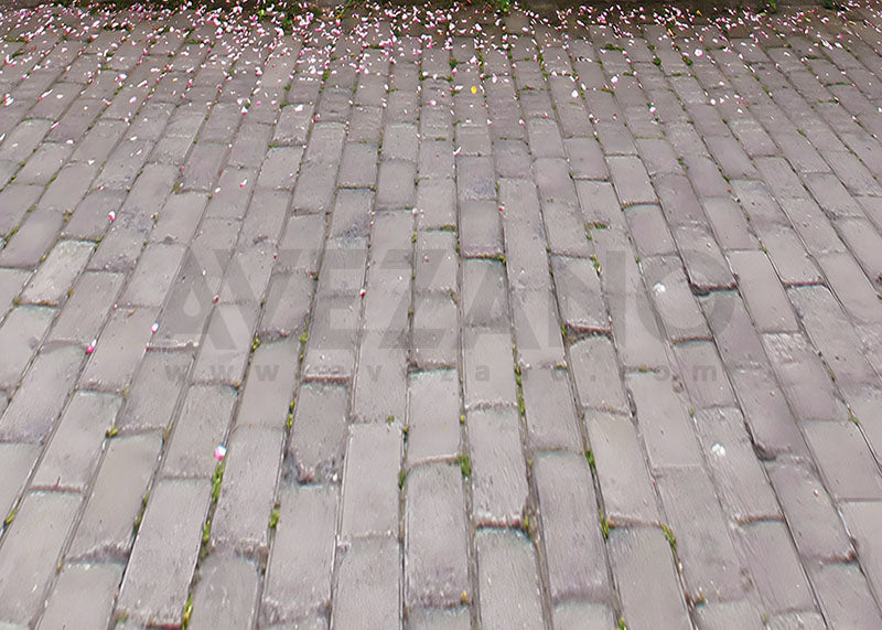 Avezano Spring Petal Floor Flooring Photography Backdrop