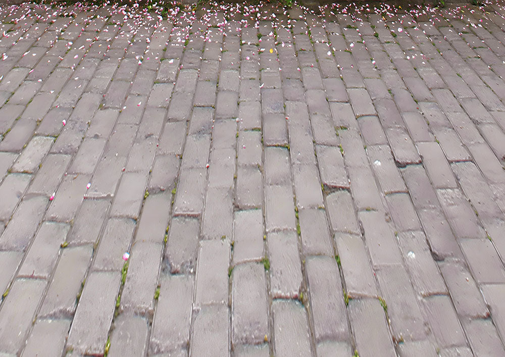 Avezano Spring Pink Rose Wall 2 pièces Toile de fond