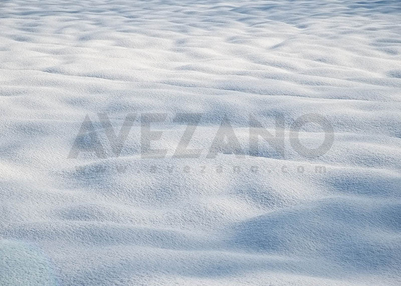 Avezano Christmas Tree and Boards Photography Backdrop Room Set