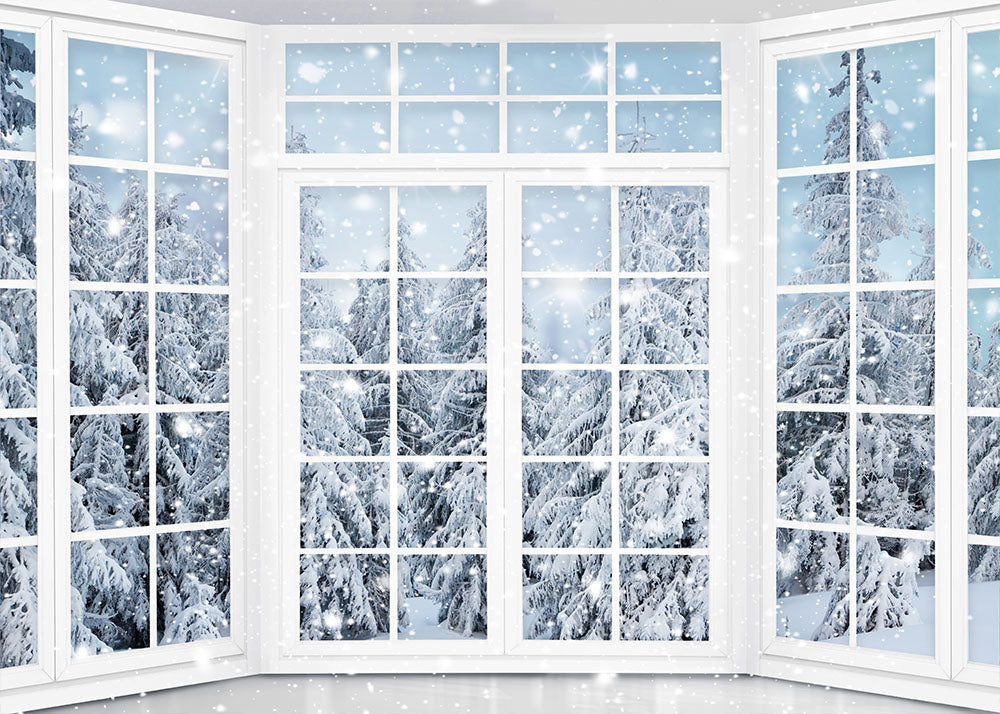 Clearance Sale Avezano Winter Snowy Window Photography Backdrop