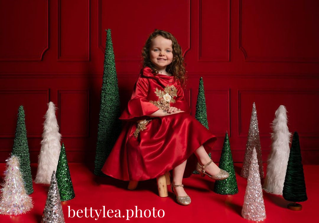 Avezano Red Wall Window Backdrop For Photography