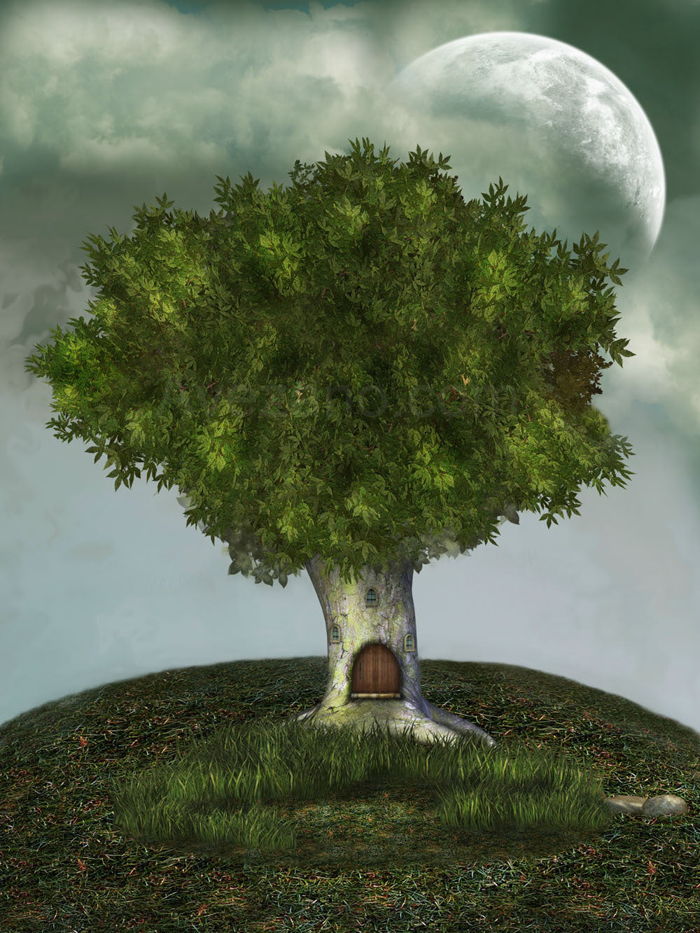 Avezano Spring, un arbre en toile de fond pour la photographie