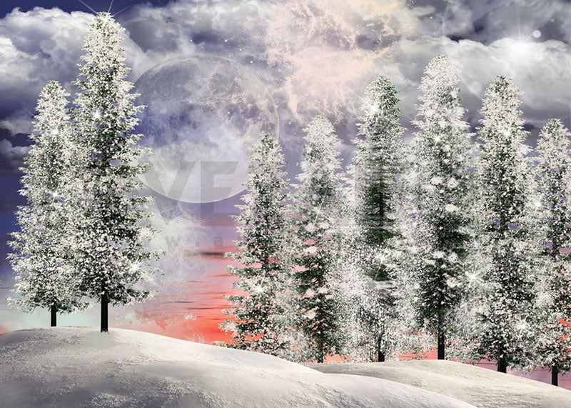 Avezano Winter Full Moon Forest Photography Backdrop
