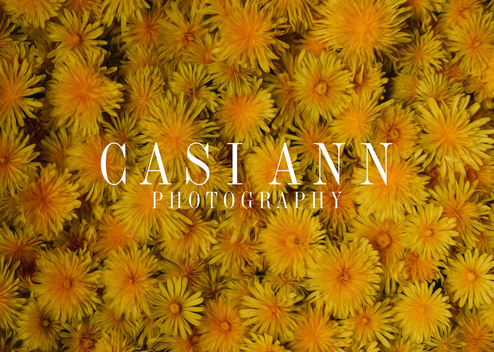 Avezano Painterly Dandelions Photography Backdrop Designed By Casi Ann-AVEZANO