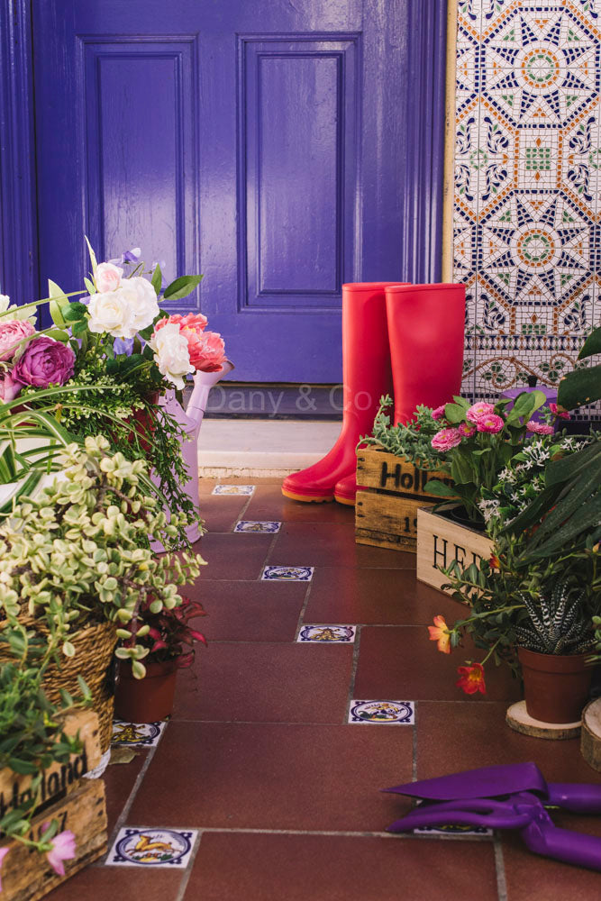 Avezano Potted Plant Photography Backdrop Designed By Danyelle Pinnington