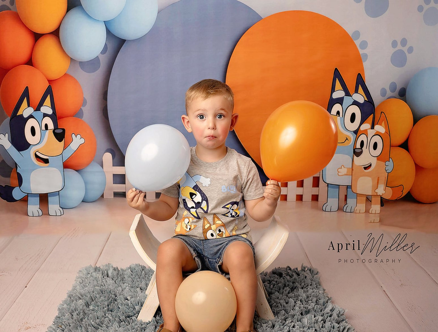 Avezano Bluey Theme Blue Yellow Balloon Photography Backdrop Designed By Polly Ro Design