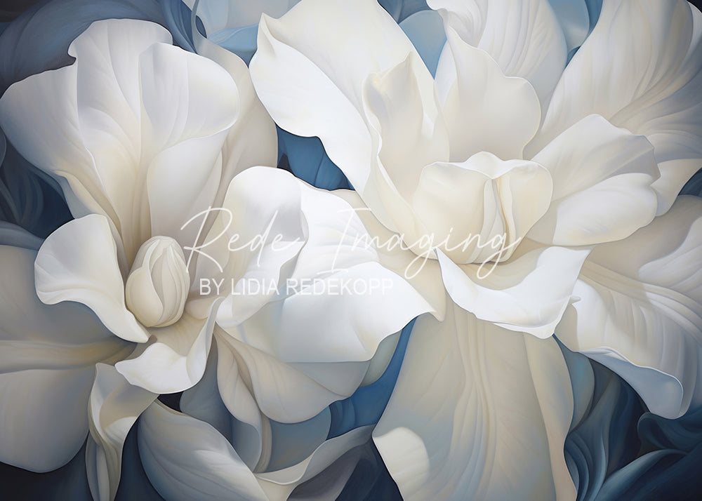 Avezano White Lily On Blue Background Oil Painting Photography Backdrop Designed By Lidia Redekopp