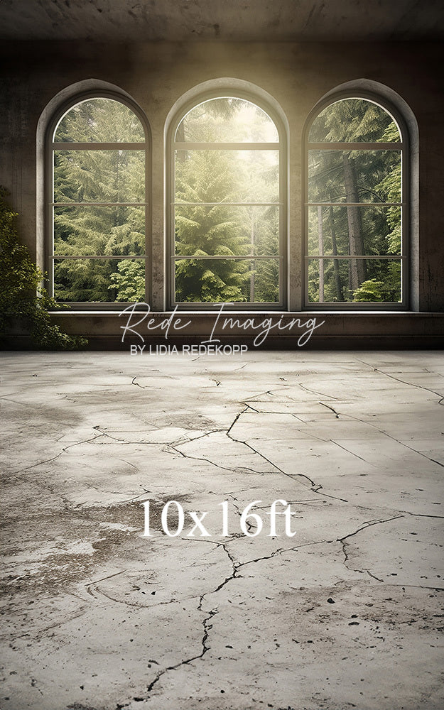 Avezano Arch Window Forest View Photography Backdrop Designed By Lidia Redekopp