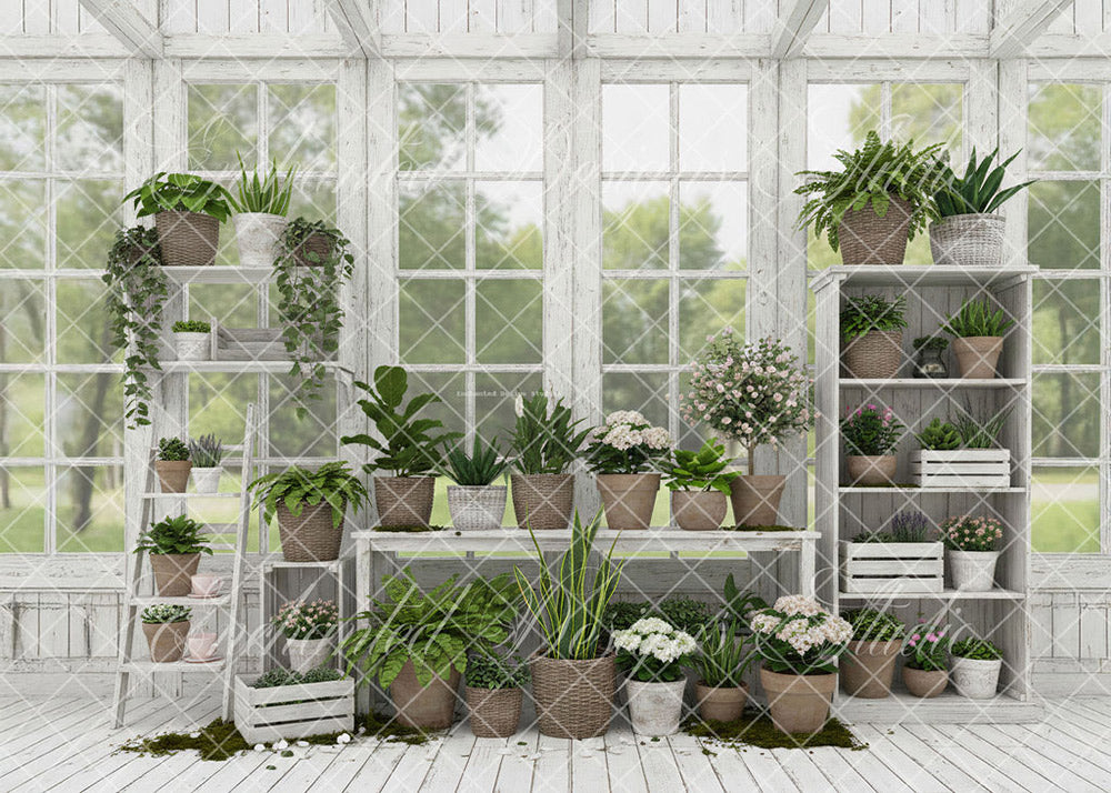 Avezano White Greenhouse with Potted Plants Backdrop Designed By Enchanted Design Studio