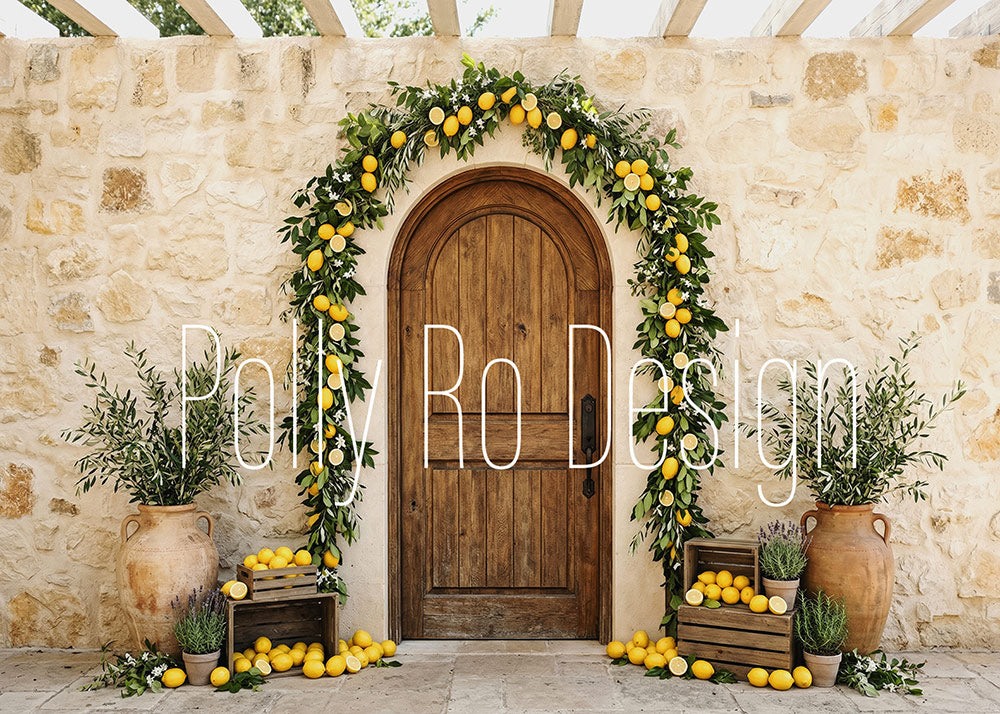 Toile de fond pour photographie de couronne de Noël d'Avezano conçue par Polly Ro Design