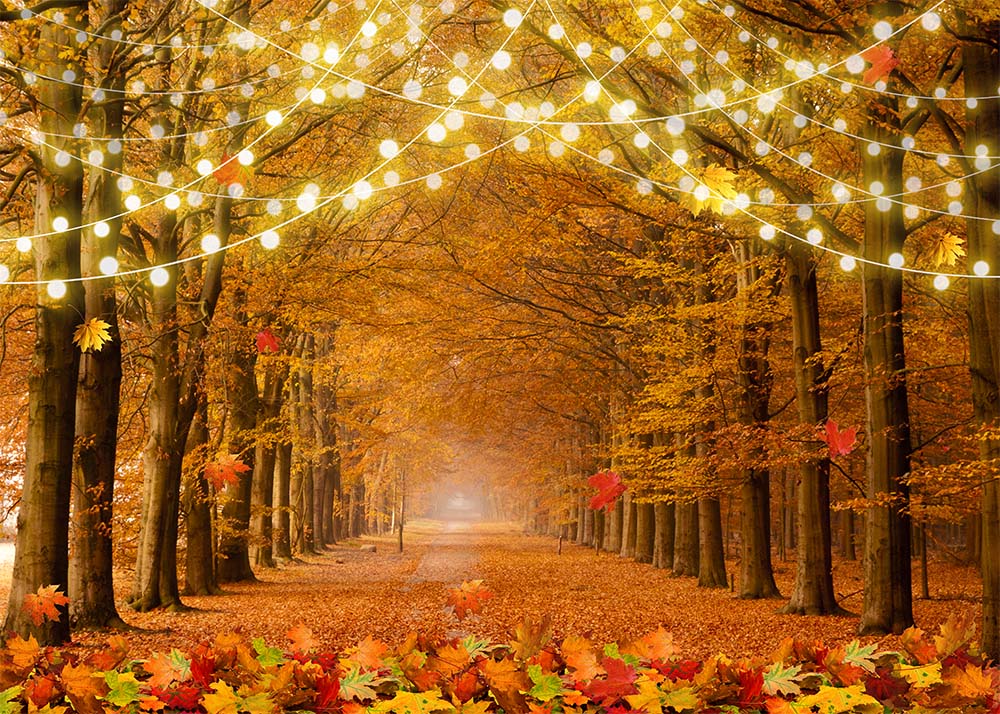 VIP Clearance Sale Avezano Autumn Forest Fairy Light Path Photography Backdrop