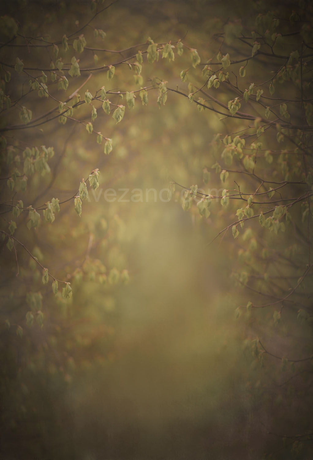 Avezano Spring Buds Pregnant Woman Photo Photography Backdrop