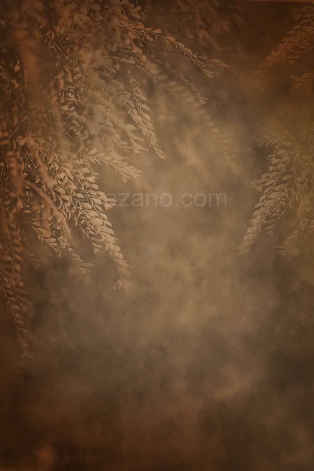 Avezano Brown Flowers Femme enceinte Photographie Toile de fond