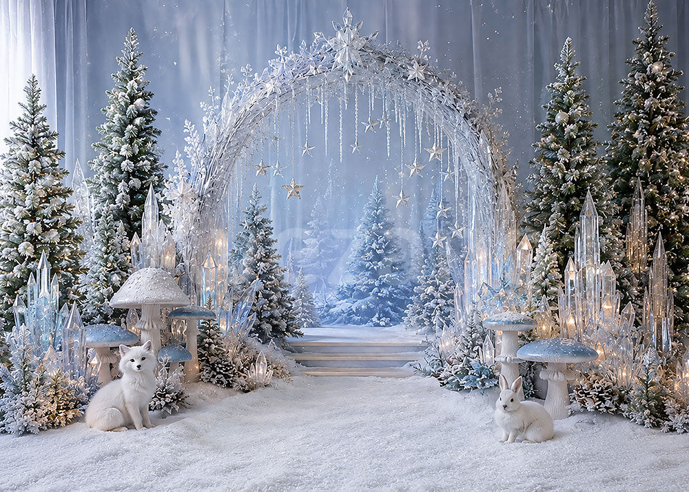 Avezano Ice Crystal Winter Christmas Arch Photography Backdrop