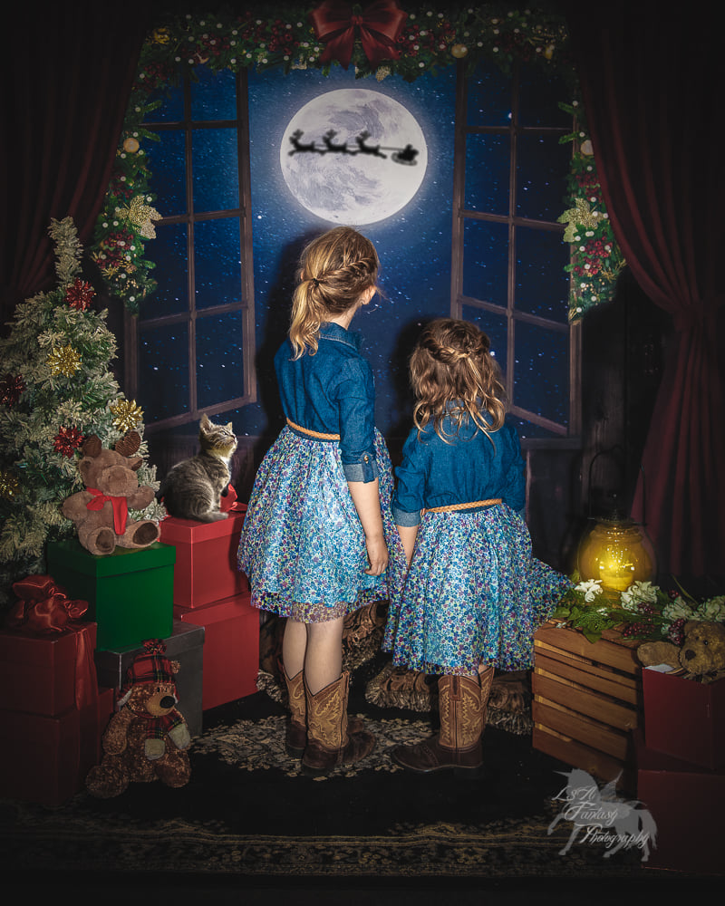 Avezano Christmas Window Photography Backdrop