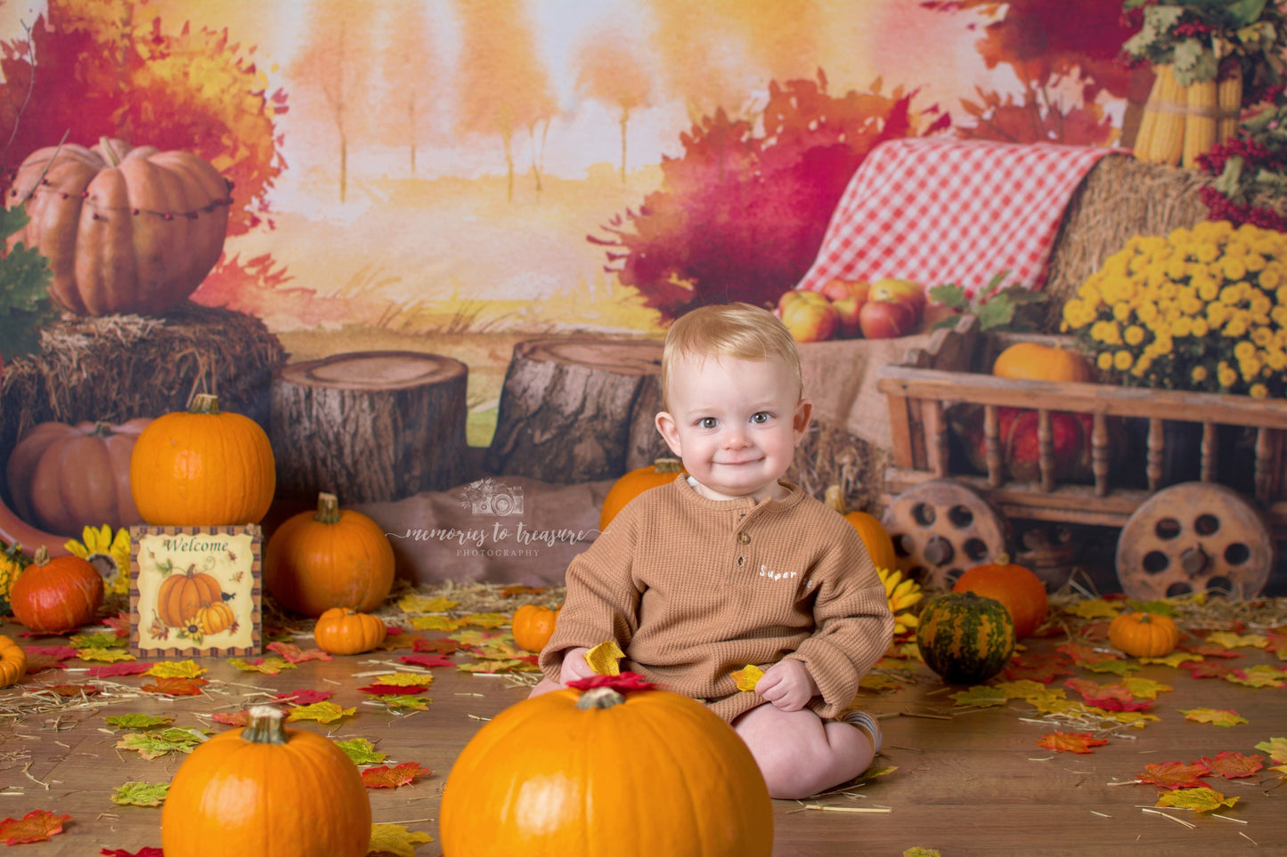 Toile de fond pour photographie d'automne de la ferme Avezano