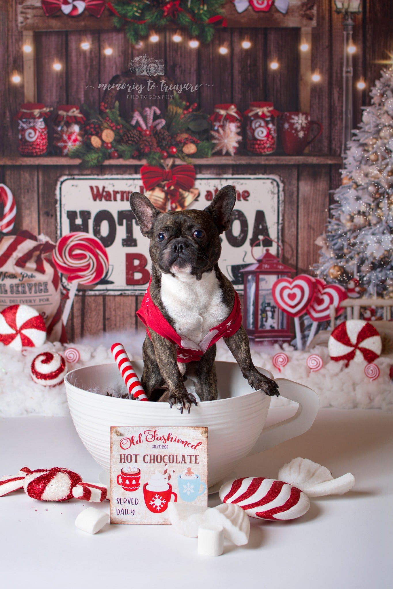 Avezano Christmas Tree and Candy Canes Theme Backdrop