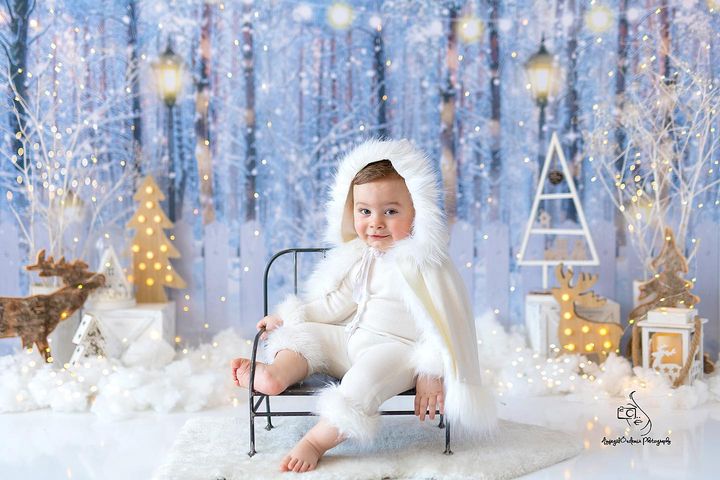 Avezano Snowy Winter Woods And Fence Backdrop For Photography holiday