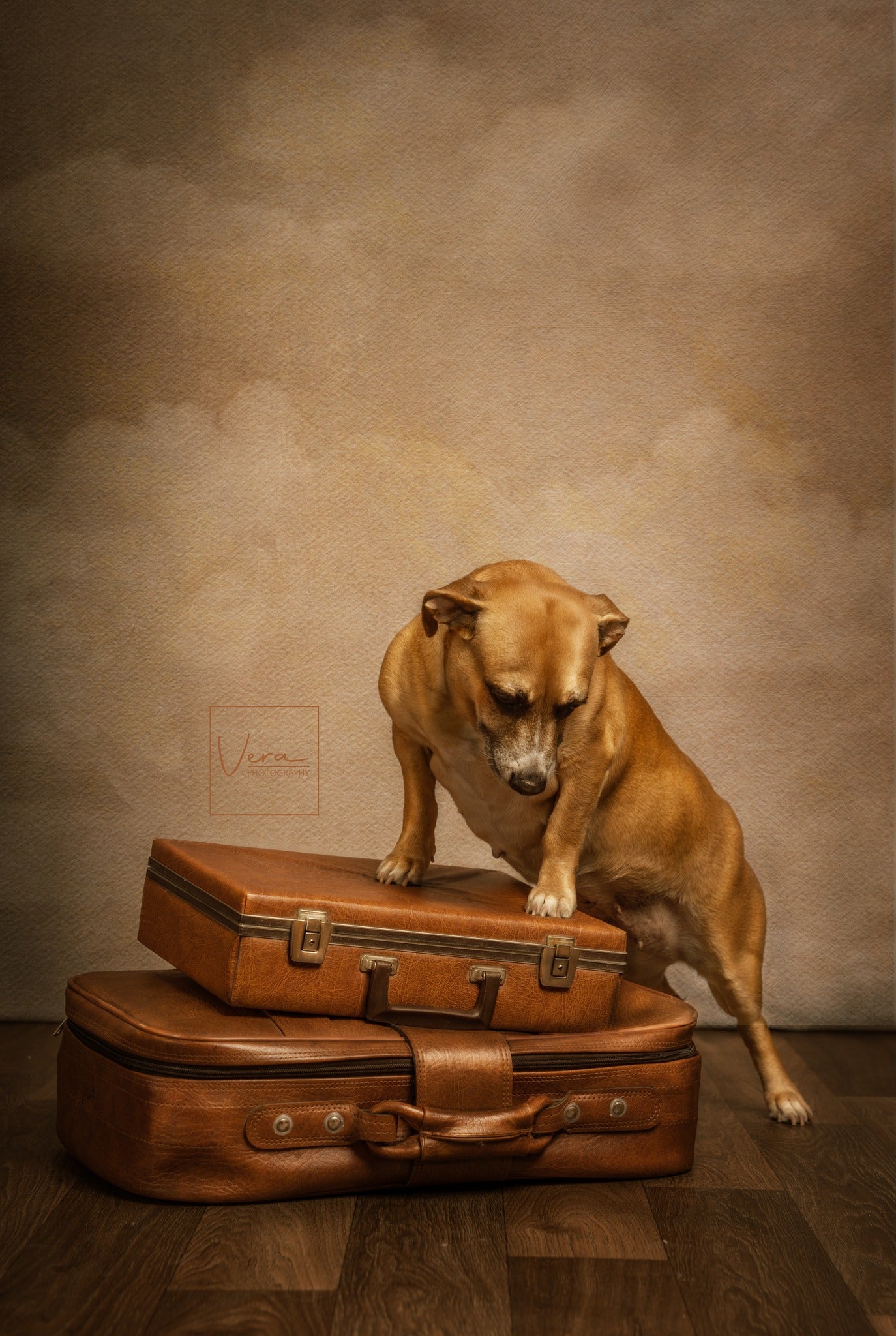 Avezano Abstract Light Brown Texture Old Master Backdrop For Portrait Photography