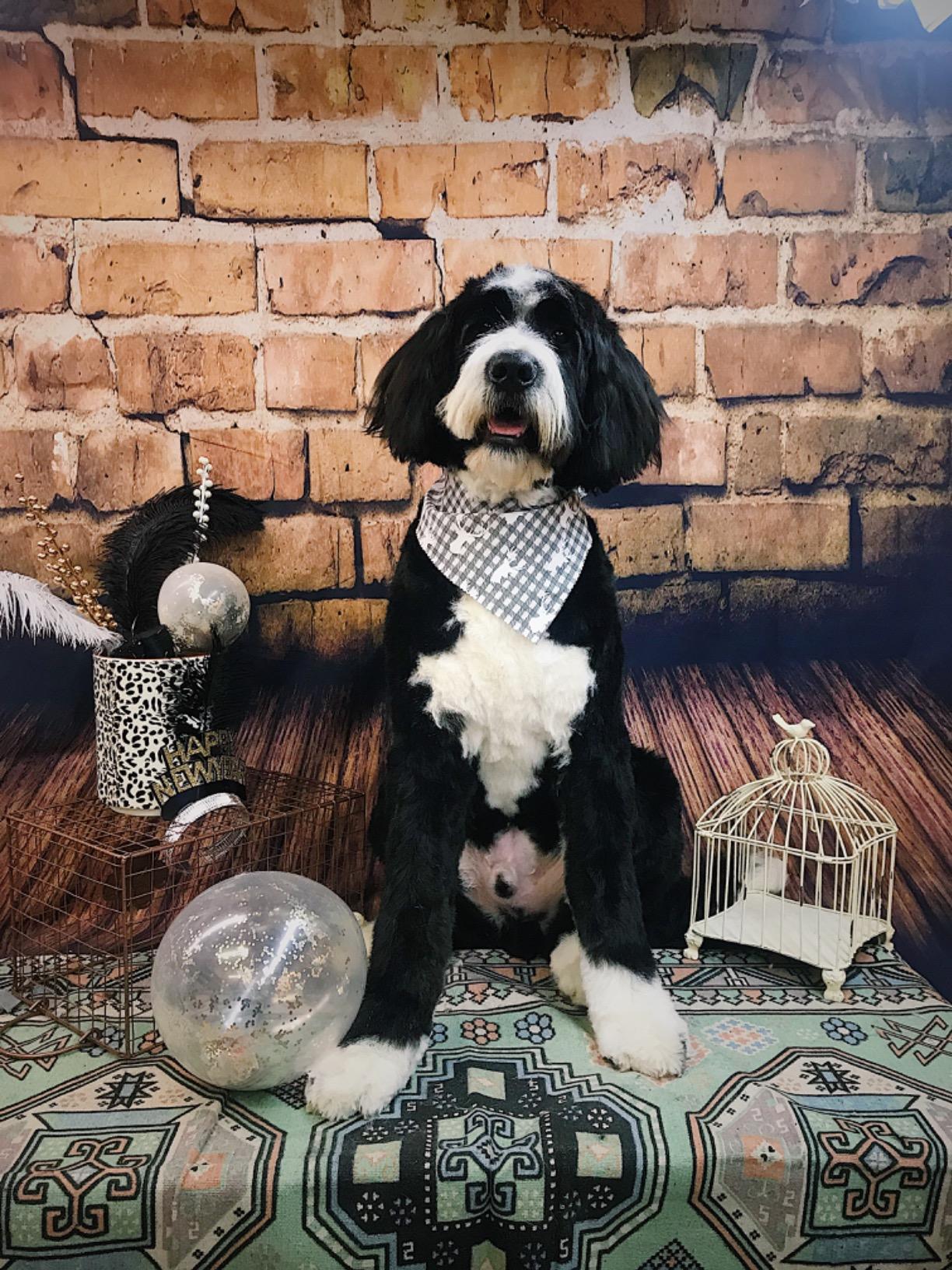 Avezano Cracked Brick Wall Texture photo Backdrop with Vertical version wood floor-AVEZANO