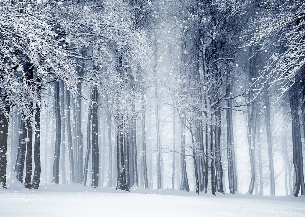 Avezano Winter Snow Forest Photography Backdrop-AVEZANO