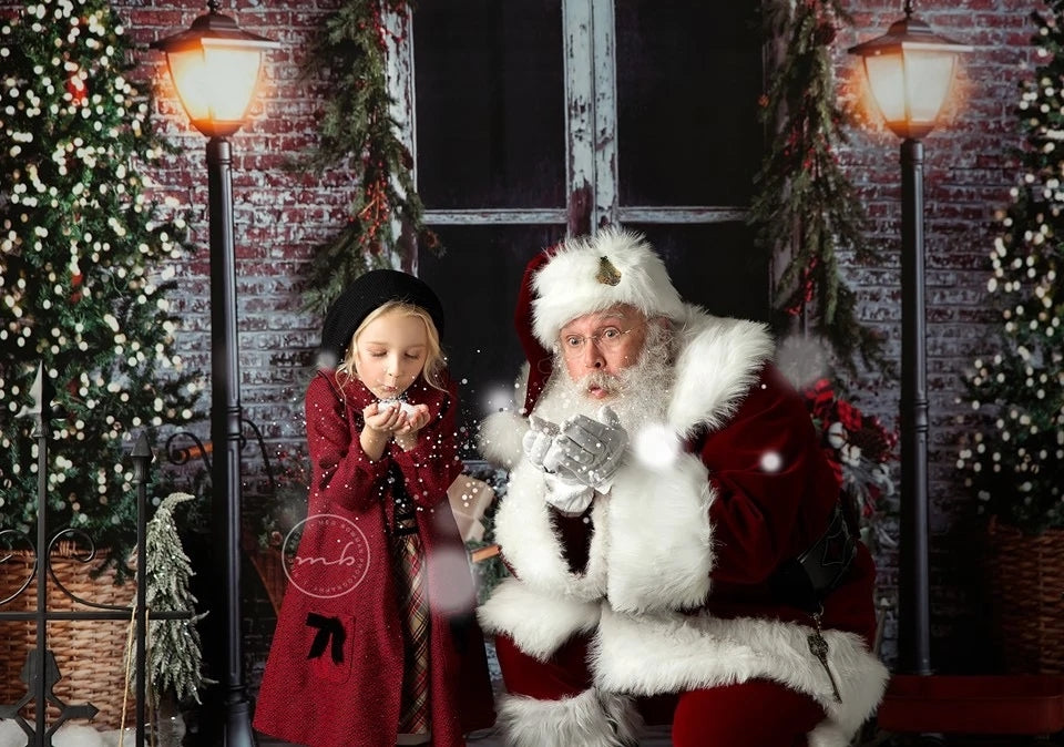 Avezano Christmas Tree in Front of Door Photography Backdrop-AVEZANO