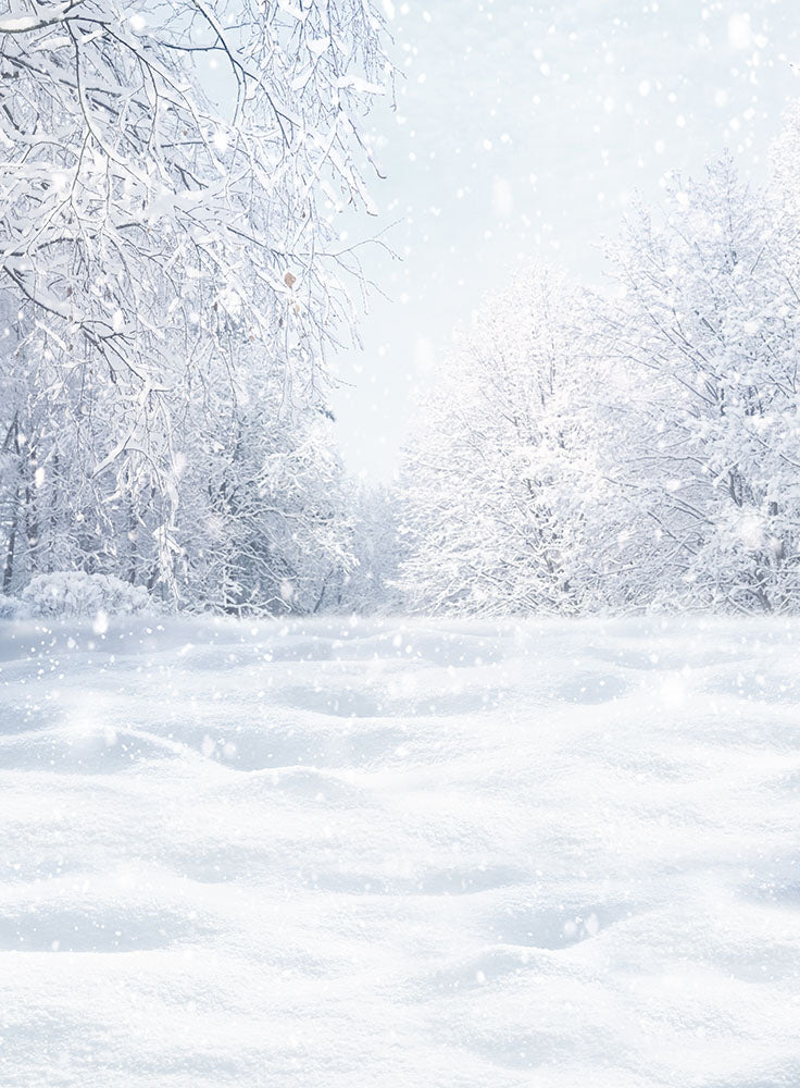 Avezano Winter The New Snowy Forest Photography Backdrop