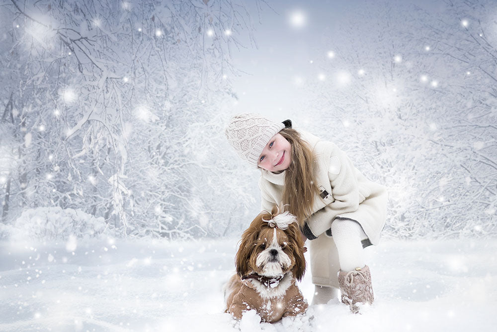 Avezano Winter The New Snowy Forest Photography Backdrop-AVEZANO