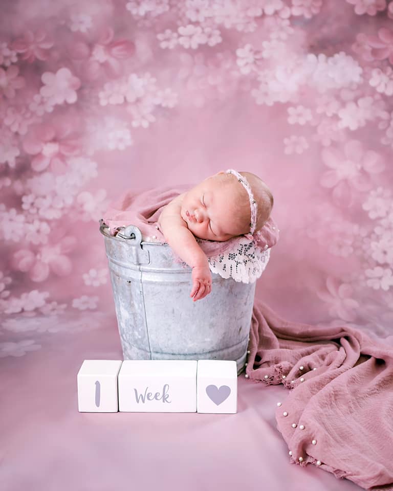 Avezano Pink Floral Textured Fine Art Photography Backdrop-AVEZANO