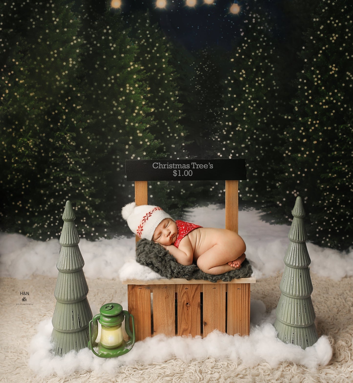 Toile de fond des arbres de Noël enneigés d'Avezano pour la photographie