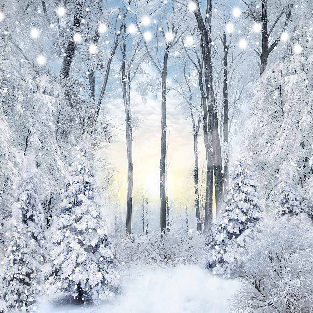 Toile de fond des bois enneigés d'Avezano pour la photographie