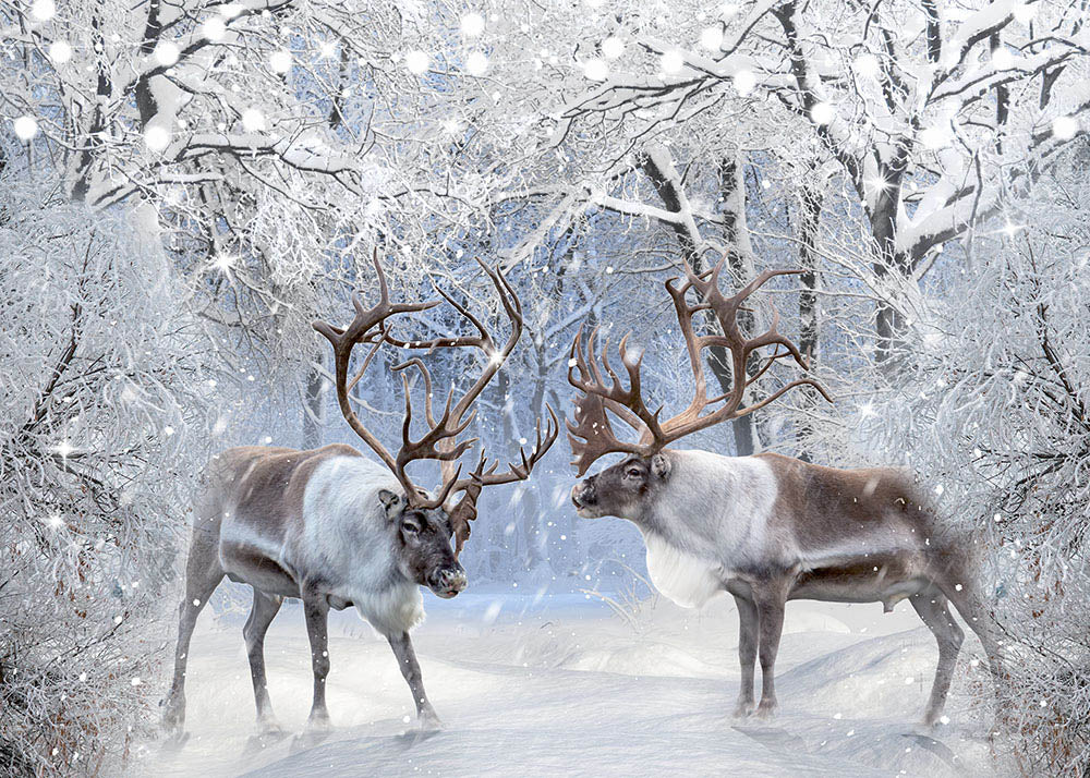 Avezano Snowy Winter Forest And Elks Backdrop for Photography-AVEZANO