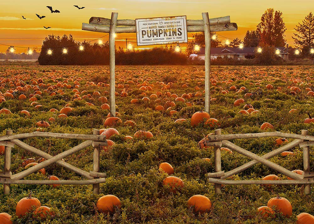 Avezano Autumn Pumpkin at Sunset Halloween Photography Backdrop-AVEZANO
