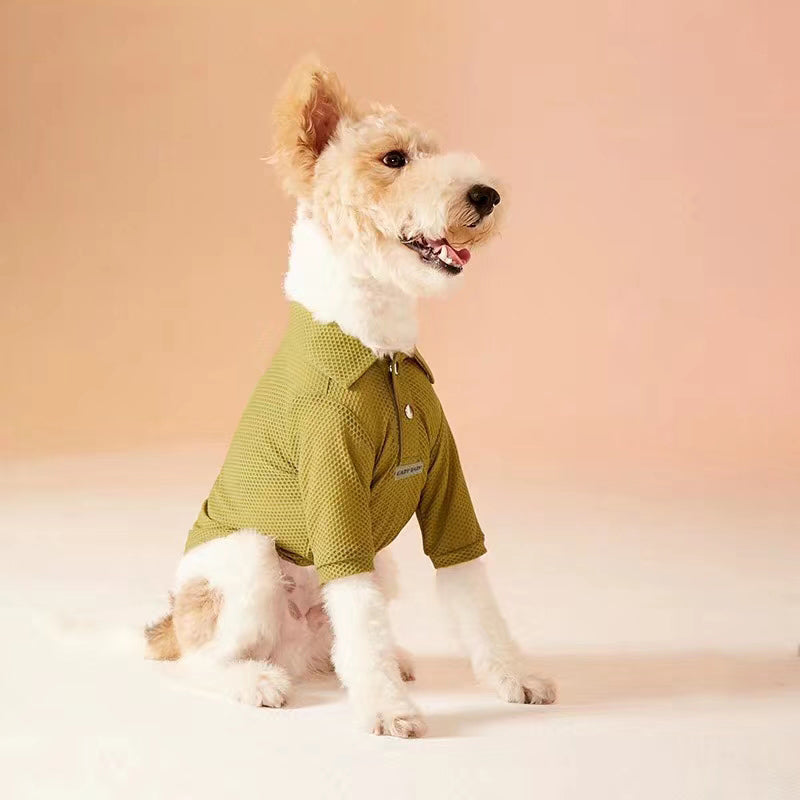 Avezano Khaki Gradient Backdrop For Portrait Photography