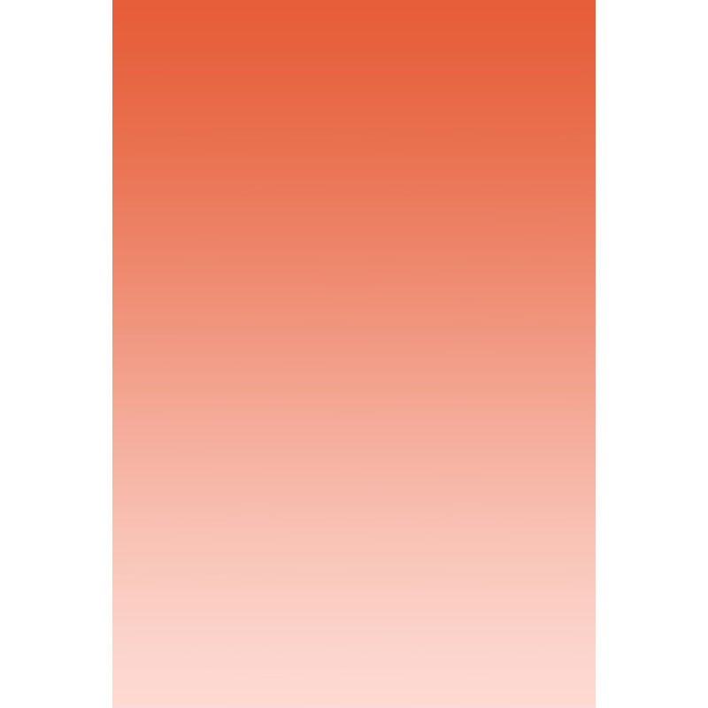 Avezano Orange Gradually Pales Gradient Backdrop For Portrait Photography-AVEZANO