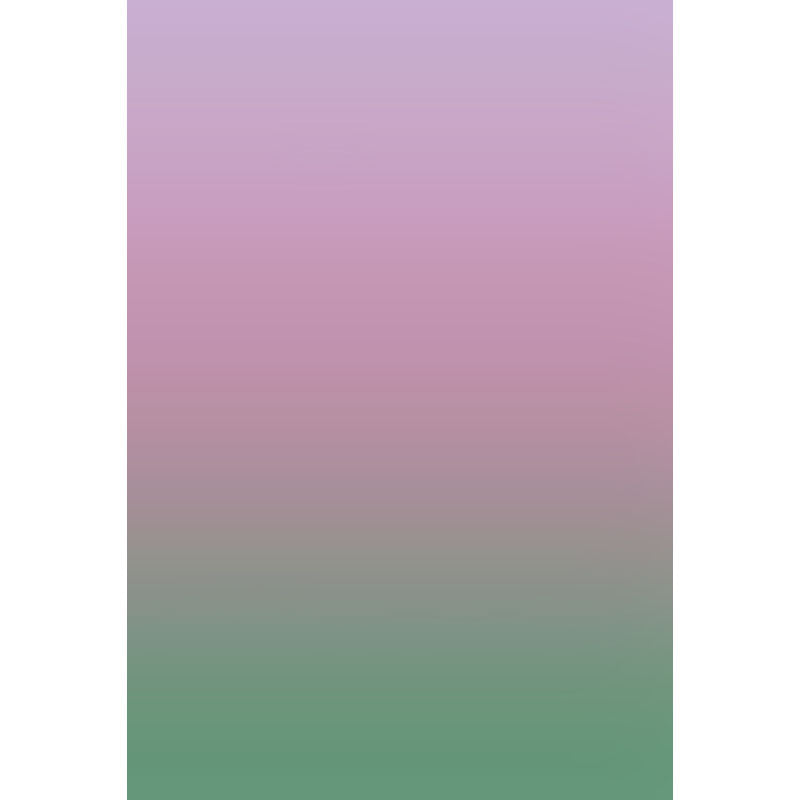Avezano Pink Fades To Green Gradient Backdrop For Portrait Photography-AVEZANO