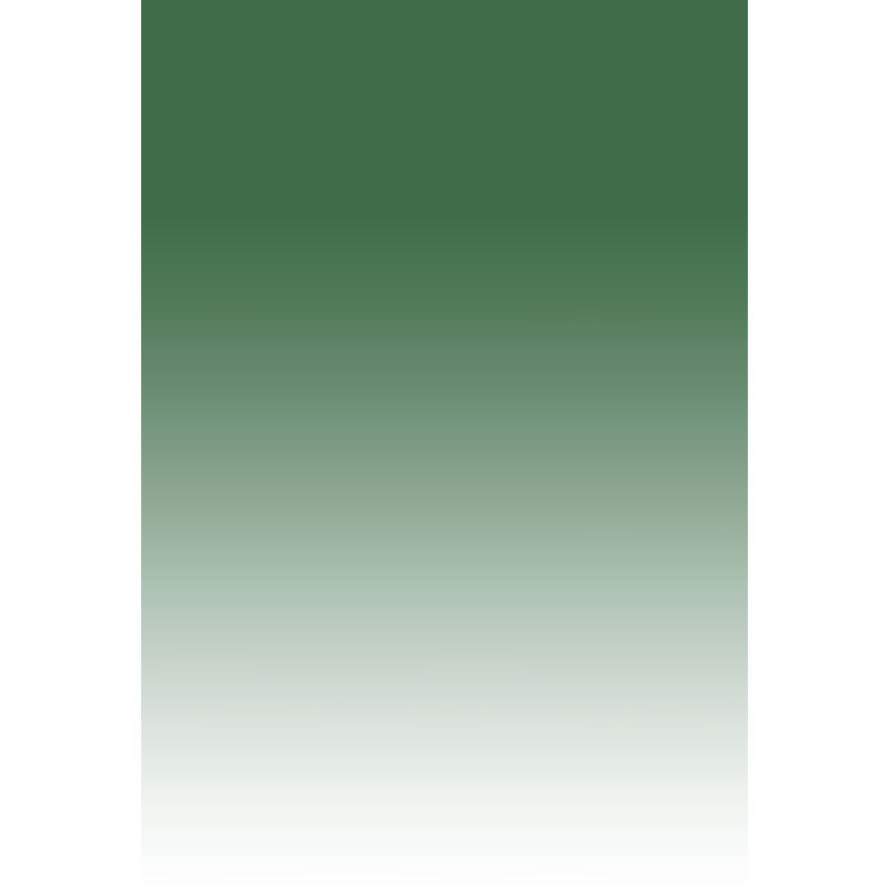 Avezano Deep Green Fades Away Gradient Backdrop For Portrait Photography-AVEZANO