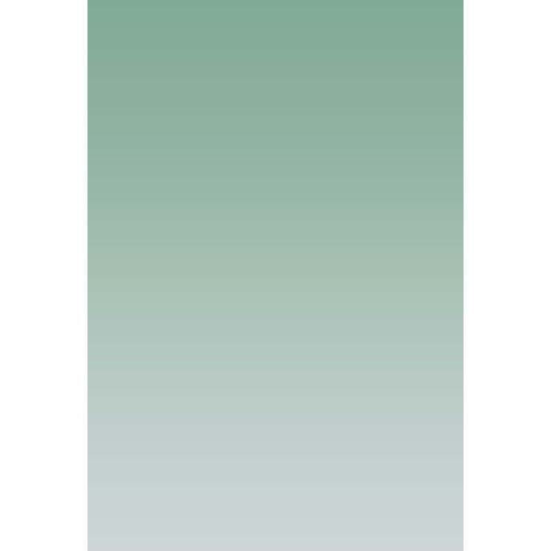 Avezano Green Fades To Gray Gradient Backdrop For Portrait Photography-AVEZANO